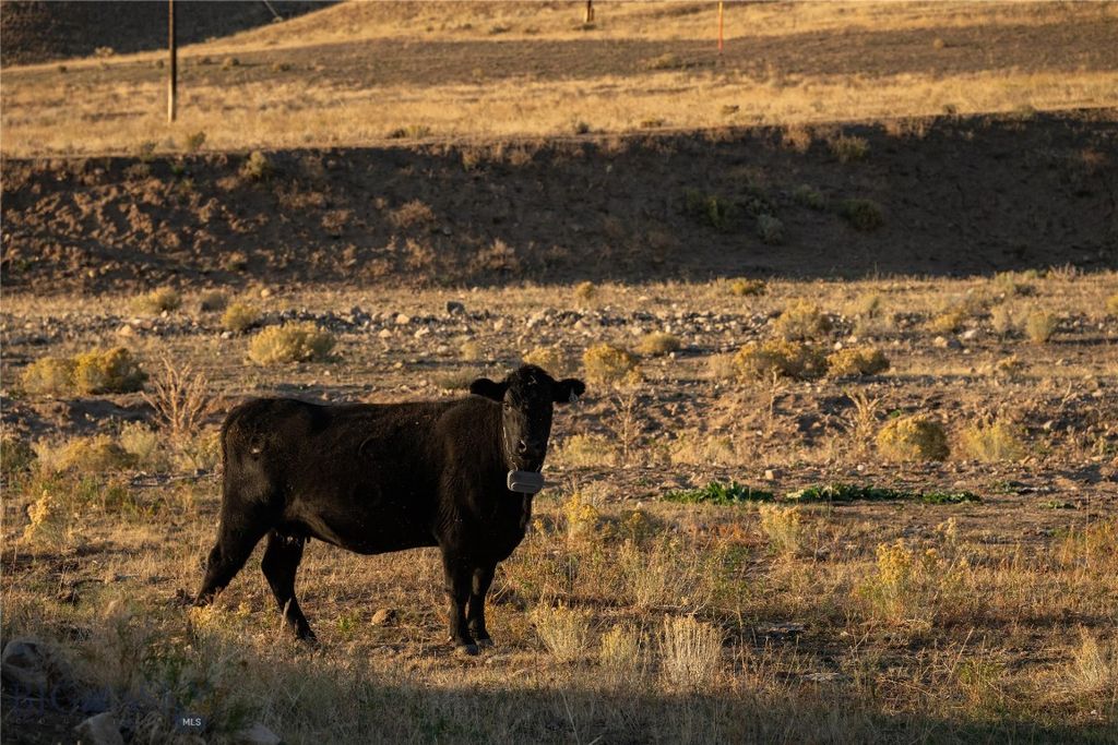 1120 Yellowstone Trail, Deer Lodge, MT 59722 photo 18