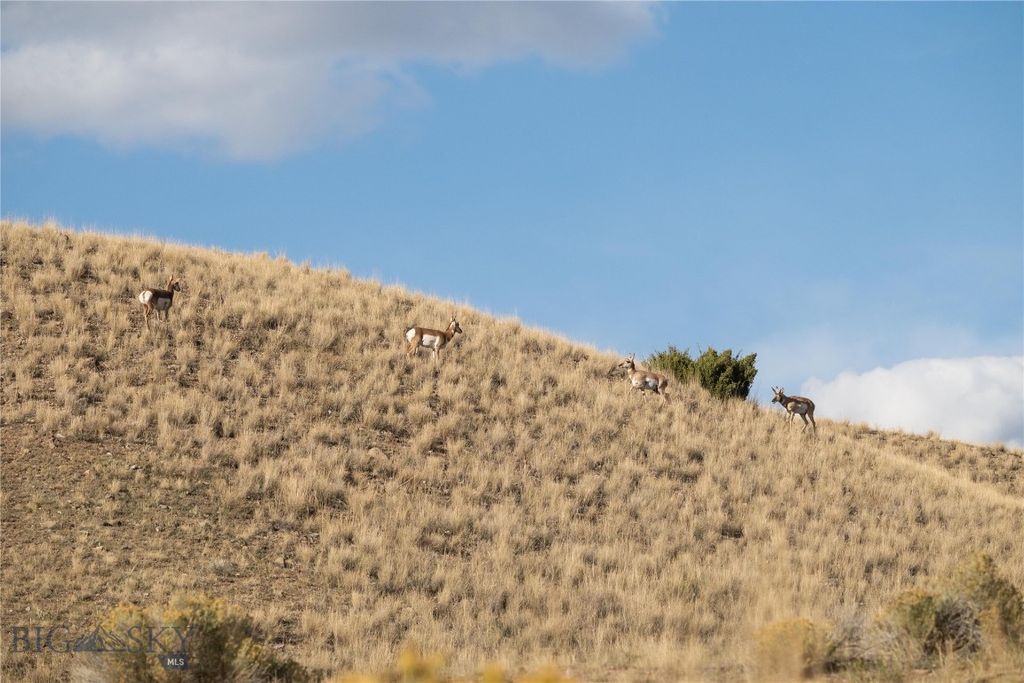 1120 Yellowstone Trail, Deer Lodge, MT 59722 photo 20