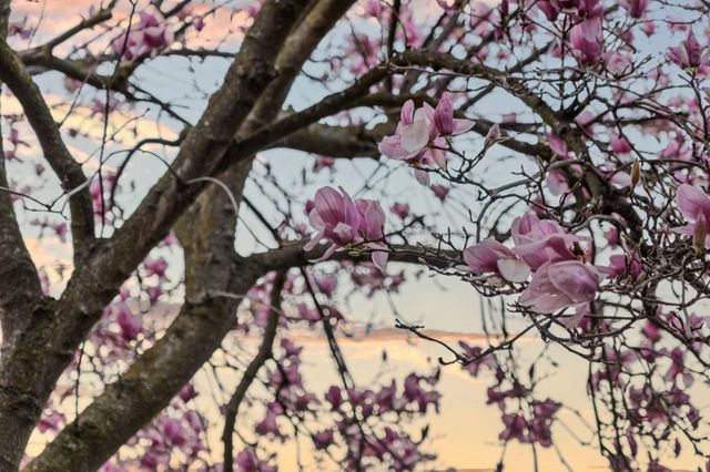 72 Amorok Way, Fremont, CA 94539