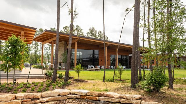 15824 Mossy Juniper Lane, Conroe, TX 77302