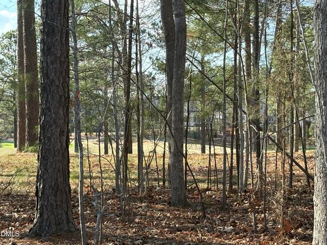 490 Chapel Ridge Drive, Pittsboro, NC 27312