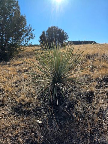 TBD Horse Creek Rd, Pueblo, CO 81004