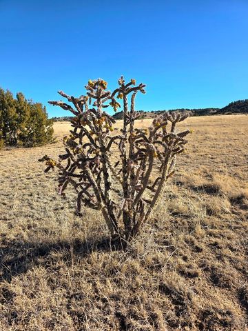 TBD Horse Creek Rd, Pueblo, CO 81004