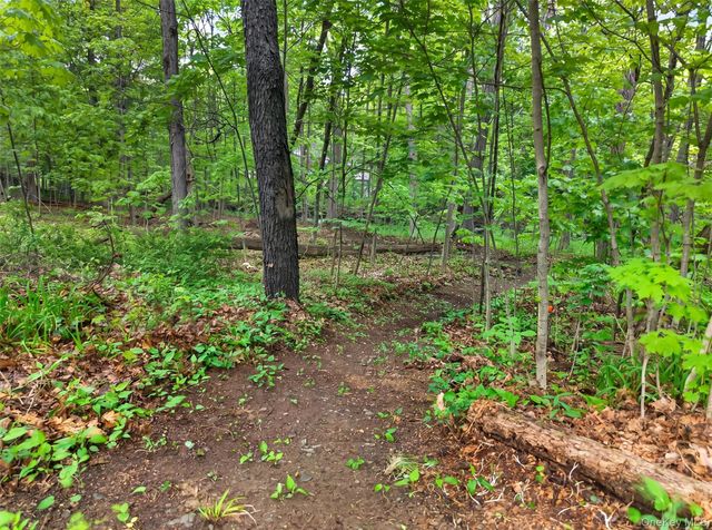 63 Hubshop Road, Chester, NY 10918