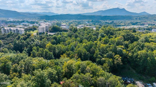 2136 Daisy Trail, Pigeon Forge, TN 37863
