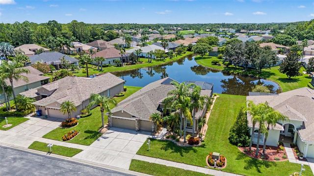 11230 WEDGEMERE DRIVE, Trinity, FL 34655