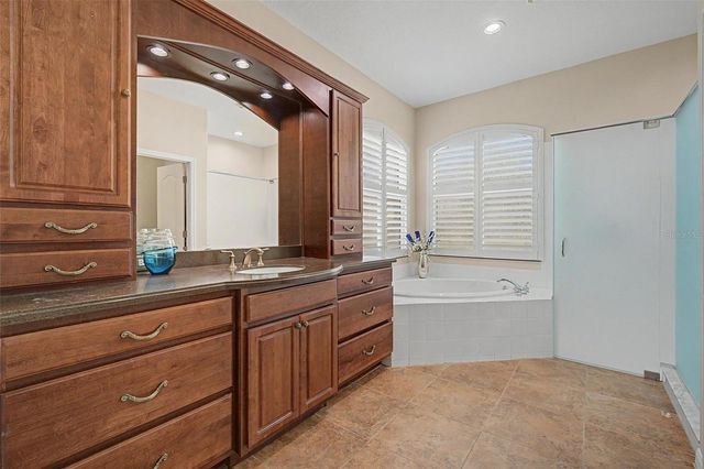 11230 WEDGEMERE DRIVE, Trinity, FL 34655