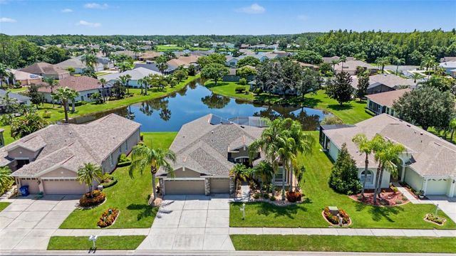 11230 WEDGEMERE DRIVE, Trinity, FL 34655