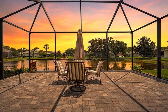 11230 WEDGEMERE DRIVE, Trinity, FL 34655