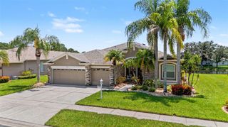 11230 WEDGEMERE DRIVE, Trinity, FL 34655
