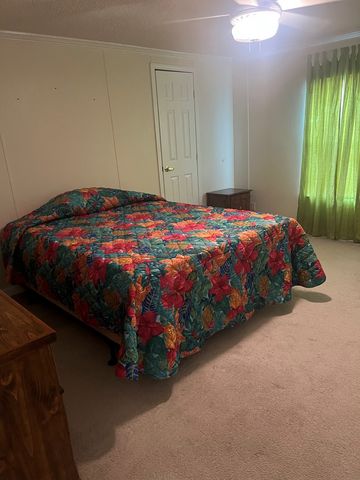 115 Geranium Cir, Midland City, AL 36350