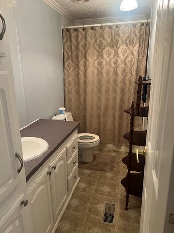 115 Geranium Cir, Midland City, AL 36350