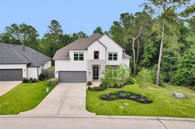 319 Samuels Link Lane, Montgomery, TX 77316