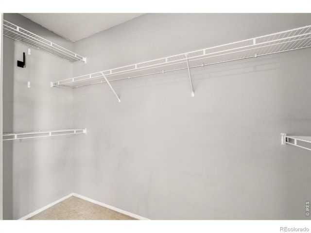 1836 Mallard Drive 1, Superior, CO 80027