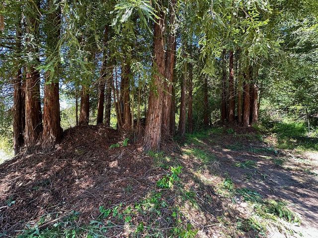 5601 Freedom Boulevard, Aptos, CA 95003