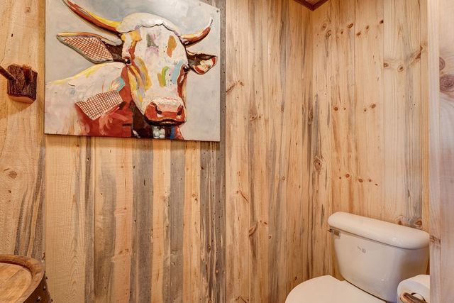 187 Briar Woods Lane, Blue Ridge, GA 30513