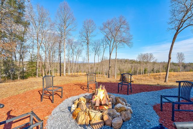 187 Briar Woods Lane, Blue Ridge, GA 30513