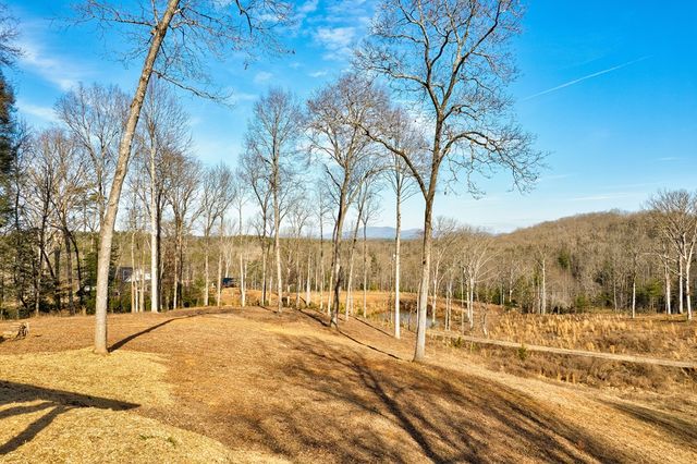 187 Briar Woods Lane, Blue Ridge, GA 30513