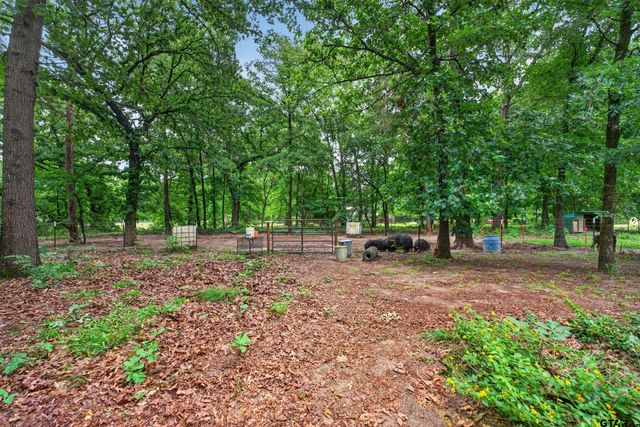 16884 County Road 3147, Tyler, TX 75706