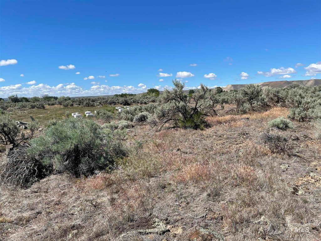 TBD 2700 S 900 E Lot 2, Hagerman, ID 83332 photo 6