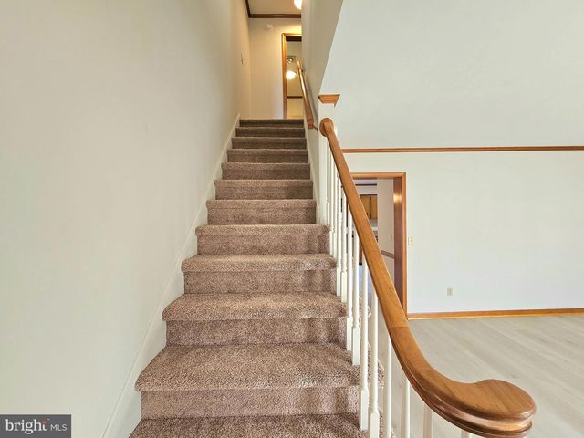 1009 BACCHARIS DR, Salisbury, MD 21804