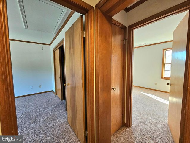 1009 BACCHARIS DR, Salisbury, MD 21804