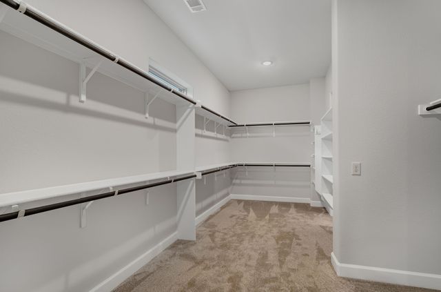 4851 Cypress Thorn Drive, Arlington, TX 76005