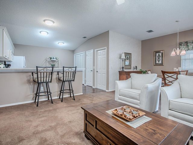 16905 SE 81ST ELLERSLIE COURT, The Villages, FL 32162