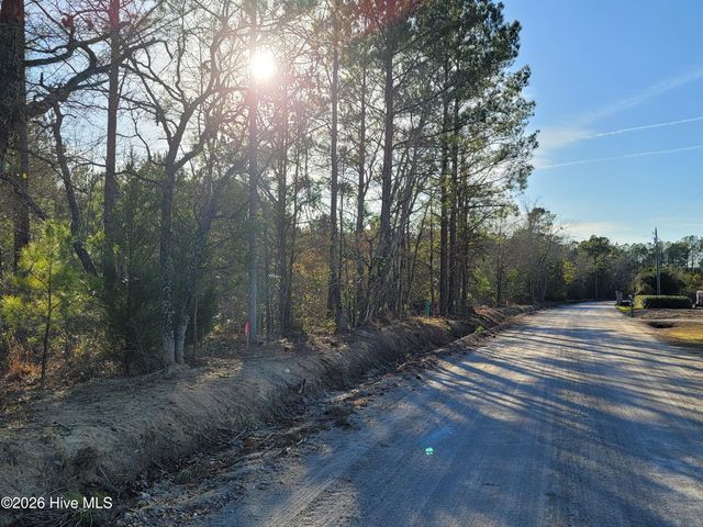 Tbd Lot 3 Auburn Drive, Loris, SC 29569