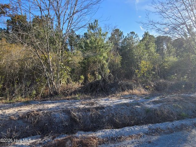 Tbd Lot 3 Auburn Drive, Loris, SC 29569