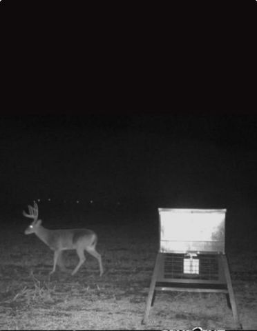 Tract 4, TBD County Road 3204, Abbott, TX 76621