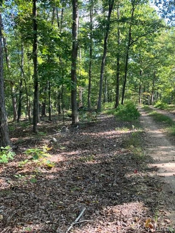 200 Madison CR 410, Fredericktown, MO 63645