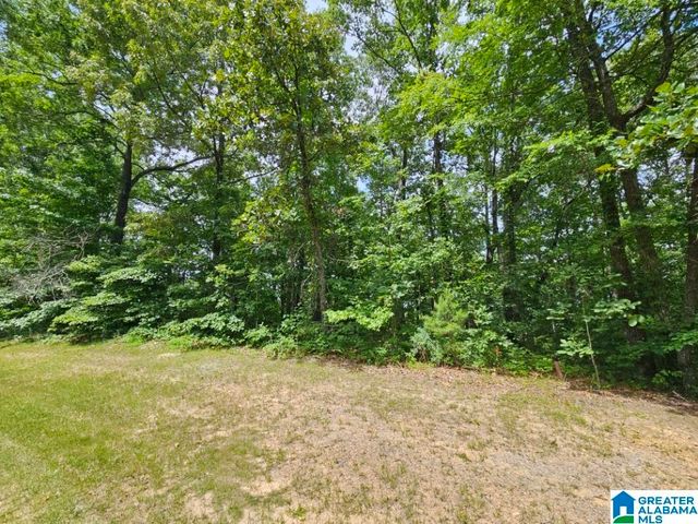 0 ARADON TRACE, Odenville, AL 35120