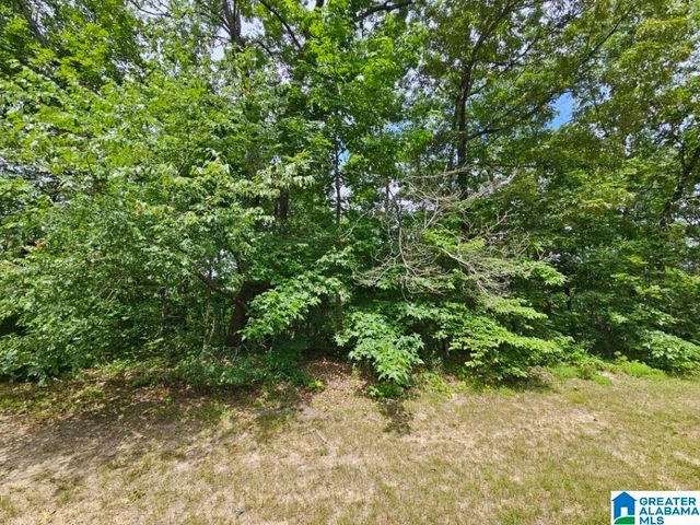 0 ARADON TRACE, Odenville, AL 35120