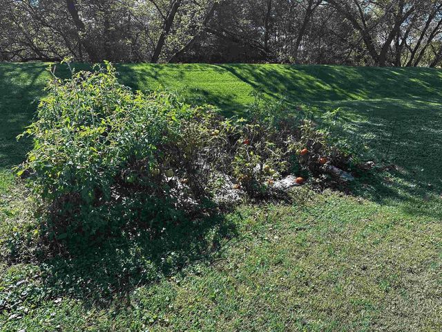 9873 E ANTON ROAD, Clintonville, WI 54929