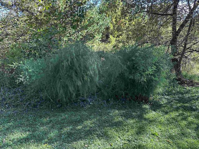 9873 E ANTON ROAD, Clintonville, WI 54929