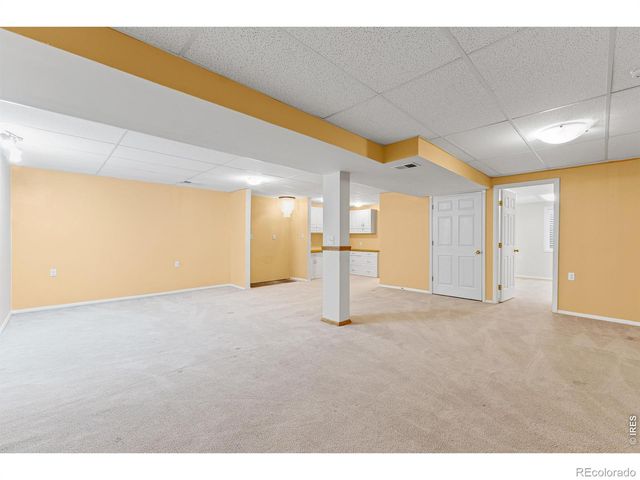 1002 Teton Court, Windsor, CO 80550