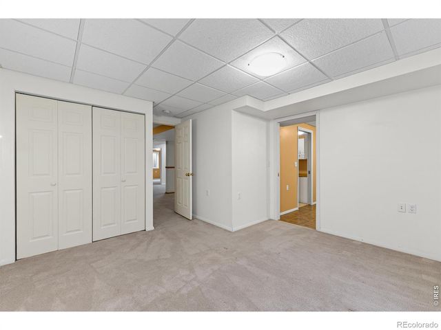 1002 Teton Court, Windsor, CO 80550