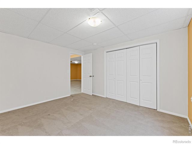 1002 Teton Court, Windsor, CO 80550