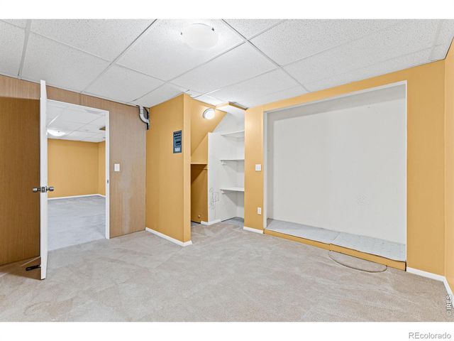 1002 Teton Court, Windsor, CO 80550