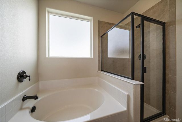 5607 En Joie Place, Elizabeth, CO 80107