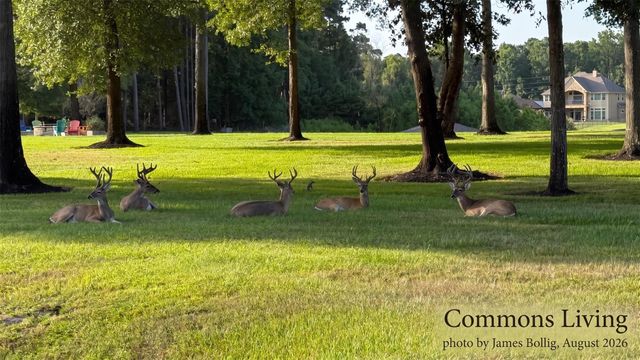 28938 Reserve Bend Drive, Huffman, TX 77336