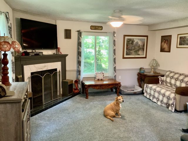 1218 Spring St, Dover, TN 37058