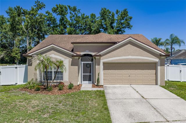 4552 STEEL DUST LANE, Lutz, FL 33559