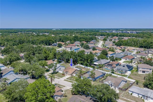 4552 STEEL DUST LANE, Lutz, FL 33559