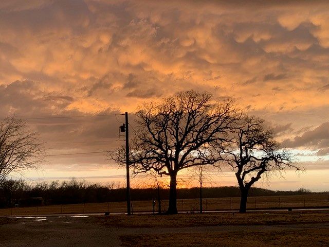 2014 County Road 123, Gainesville, TX 76240