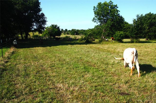 316 Flowing Wells Road, Pottsboro, TX 75076