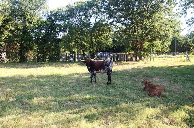 316 Flowing Wells Road, Pottsboro, TX 75076