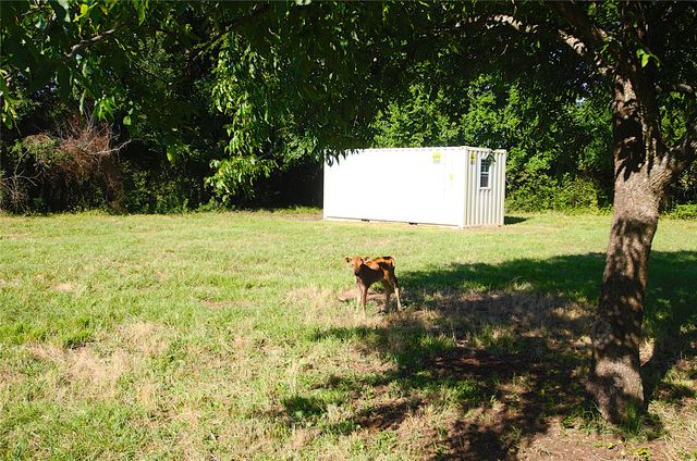 316 Flowing Wells Road, Pottsboro, TX 75076