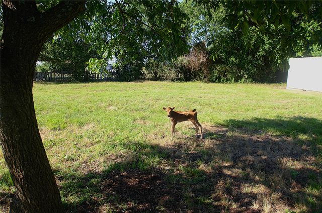 316 Flowing Wells Road, Pottsboro, TX 75076